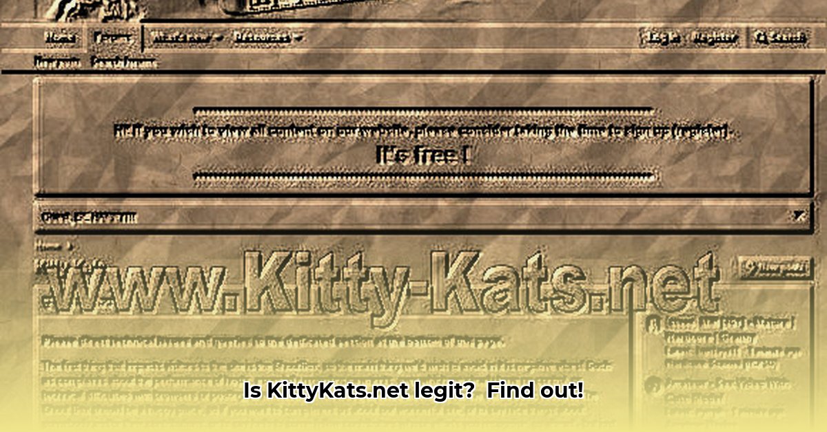 kitty-kats-net